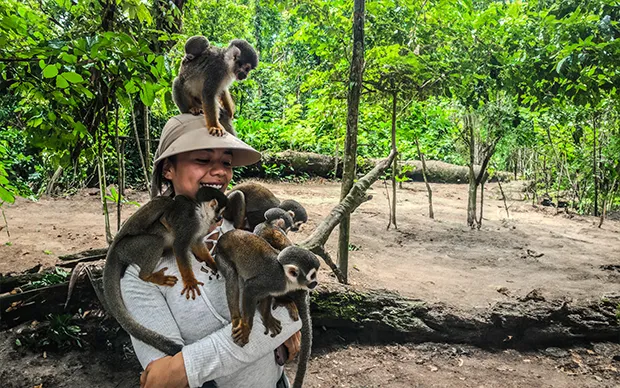 2023-01-18 | Colombia - Amazonas - Leticia